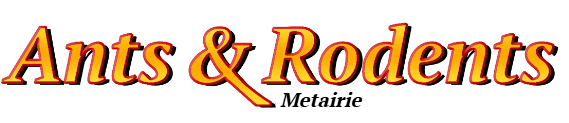 Metairie Ant Exterminator & Rodent Control Company Logo